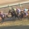 【競馬】ハーツクライってGIは2勝しかしてないのになぜ強い馬扱いされてるの