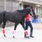 【競馬】コントレイル、別馬になってない？