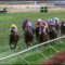 【競馬】秋以降は通常開催に戻れると思ってたやつwwwwwwwwww