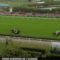 【競馬】仏リステッド競争ダリア賞　武豊騎手騎乗のAmarenaが快勝