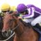 【競馬・画像】英G1で出走馬の取り違えが発生、ディープ産駒スノーフォールが3位入線→実際は僚馬マザーアース