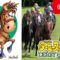 【競馬】藤田菜七子がまたしてもダビスタにいない件