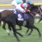 【競馬】コントレイル世代が史上最弱レベルに弱すぎワロタwww