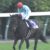 【競馬・ジャパンC】デアリングタクト杉山調教師「コントレイルが少し寄れたこともあって、内にもたれてしまいました」