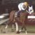 【競馬・全日本2歳優駿】地方怪物アランバローズ強すぎワロタｗｗｗｗｗｗｗ