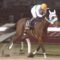 【競馬・全日本2歳優駿】地方怪物アランバローズ強すぎワロタｗｗｗｗｗｗｗ