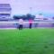 【競馬】ＪＲＡの係員にローブティサージュが虐待された問題