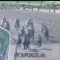 【競馬・動画あり】大塚くんの騎手レベルについて