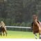 【競馬】落馬しても１着