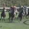【競馬】怪物牝馬レフトゥバーズが土曜のクイーンCまさかの除外で・・共同通信杯に参戦！！