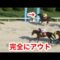 【競馬】話題の笠松競馬・佐藤友則が3着になるのを必死に回避した動画w