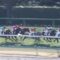 【競馬・クイーンC】藤田菜七子がレッジャードロで芝重賞初勝利になるわけだが