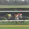 【競馬】ジャングルポケット死亡・・牡23歳
