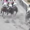 【競馬・動画あり】古川奈穂、馬群の中の騎乗が怖すぎる件