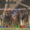 【競馬・画像あり】ドバイの直線でクロノジェネシスとラヴズオンリーユーがキスしているんだが