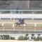 【競馬・チューリップ賞】メイケイエールの調教が酷過ぎでランドオブリバティする可能性・・