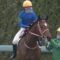 【競馬】新人女性ジョッキー・古川奈穂が左肩違和感で数か月の休養へ