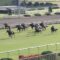 【競馬・動画あり】改めてレイパパレの大原ステークス見返したら化け物すぎてワロタｗ