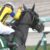 【競馬・マーメイドS】シャムロックヒル藤懸初重賞勝ちwwww 【競馬・マーメイドS】シャムロックヒル藤懸初重賞勝ちwwww