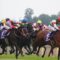 【競馬・天皇賞秋・画像】横山典さん、直線で「武史行けー！！」の瞬間が映ってしまう