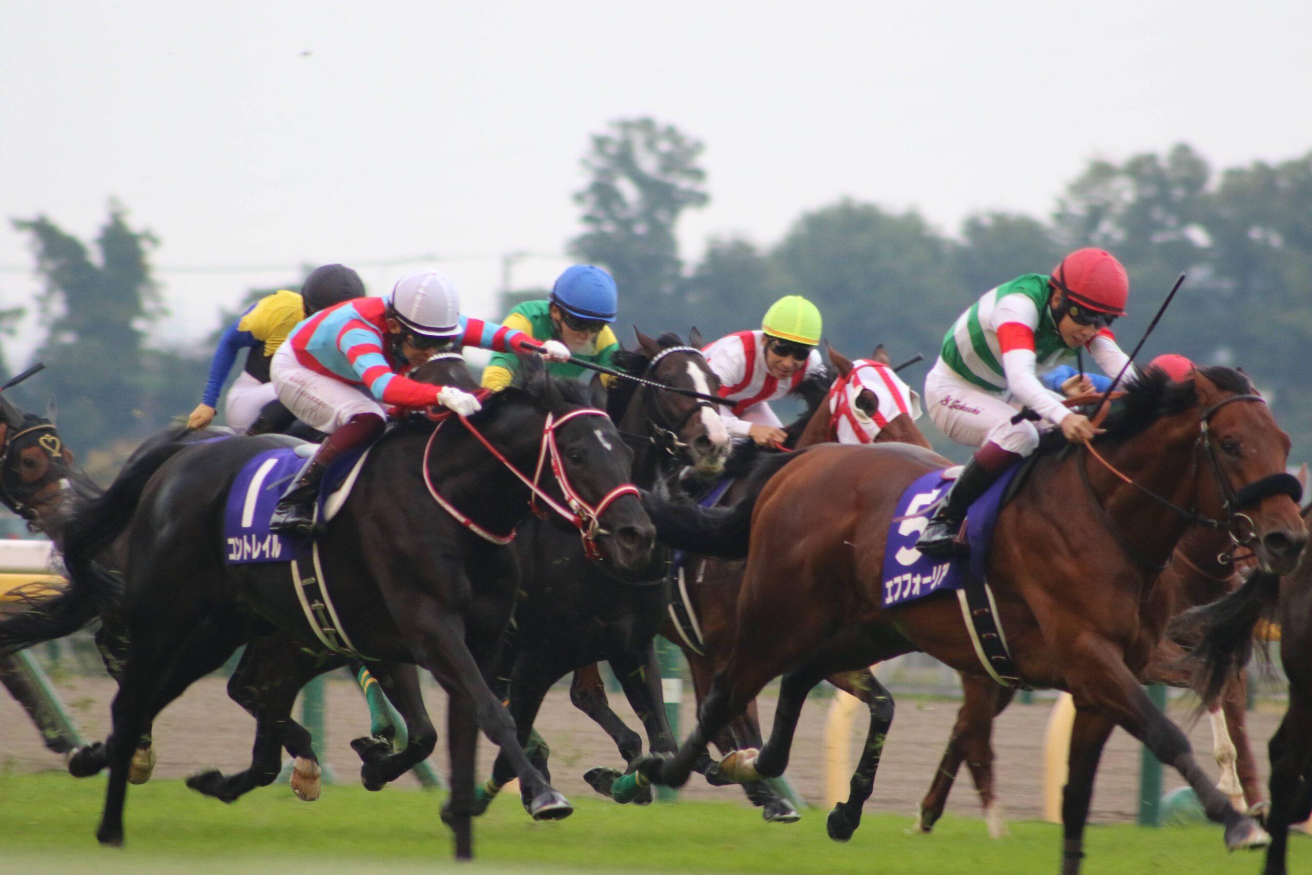 【競馬・天皇賞秋・画像】横山ノリ「」ニッコニコで直線抜け出した武史を特等席で観戦