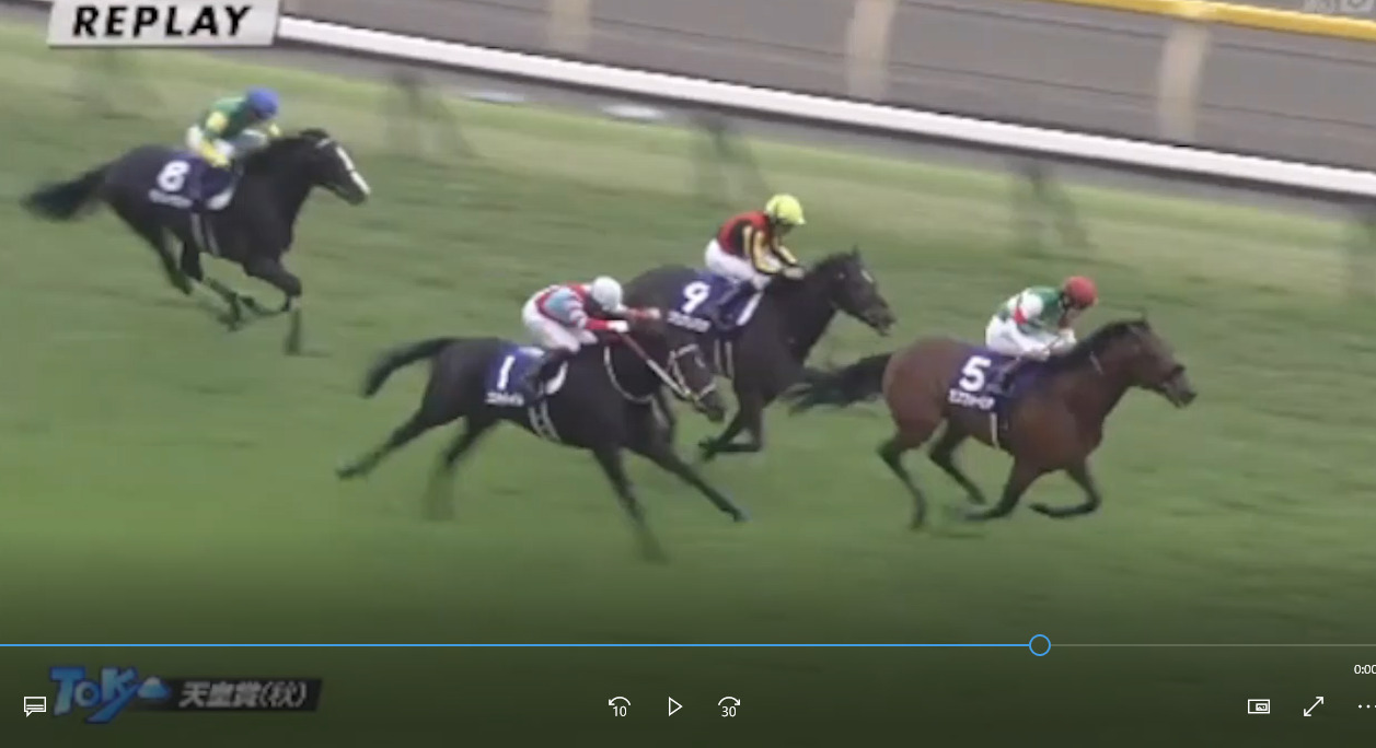 【競馬・天皇賞秋】4着サンレイポケット、5着ヒシイグアスｗｗｗｗｗｗ