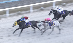 【競馬・JBCクラシック】ミューチャリー吉原上手すぎワロタwwwwwwwwwwww