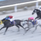 【競馬・JBCクラシック】ミューチャリー吉原上手すぎワロタwwwwwwwwwwww