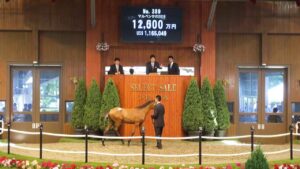 【競馬】サトノダイヤモンドの全弟すごすぎワロタ