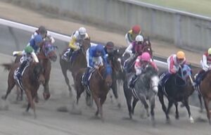 【競馬・フェブラリーS】坂井瑠星のせいで戸崎のど下手っぷりがあらわにされた! 【競馬・フェブラリーS】坂井瑠星のせいで戸崎のど下手っぷりがあらわにされた!