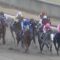 【競馬・フェブラリーS】坂井瑠星のせいで戸崎のど下手っぷりがあらわにされた！