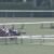 【競馬・フェブラリーS】大出遅れメイショウハリオ強すぎワロタｗｗｗｗｗｗｗｗｗｗｗｗｗｗ