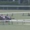 【競馬・フェブラリーS】落馬寸前・・浜中とはなんだったのか