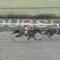 【競馬・フェブラリーS】レモンポップ強すぎワロタｗｗｗｗｗｗｗｗｗｗｗｗｗｗｗｗｗｗｗ