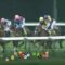 【競馬】JRAさんトラッキングシステム運用開始　４月22日から　エンタメ性アップ、世界にも発信