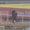 【競馬・ドバイターフ】ドウデュースの馬体ヤバない？