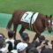 【競馬】種牡馬サリオスさん、馬体重と体高のバランスが異常すぎるｗｗｗ