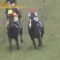 【競馬・宝塚記念】ジャスティンパレス鮫島克駿、直線でムチを落とすｗｗｗｗｗｗｗｗｗ