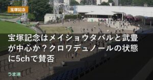 宝塚記念はメイショウタバルと武豊が中心か？クロワデュノールの状態に賛否