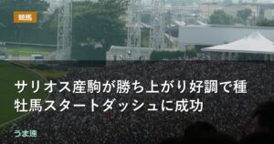 サリオス産駒が勝ち上がり好調で種牡馬スタートダッシュに成功
