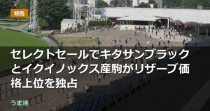 セレクトセールでキタサンブラックとイクイノックス産駒がリザーブ価格上位を独占