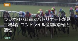 ラジオNIKKEI賞でバドリナートが見せ場4着 コントレイル産駒の評価と適性