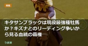 キタサンブラックは現役最強種牡馬か？キズナとのリーディング争いから見る血統の覇権