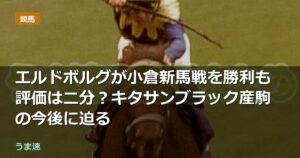 エルドボルグが小倉新馬戦を勝利も評価は二分?キタサンブラック産駒の今後に迫る エルドボルグが小倉新馬戦を勝利も評価は二分?キタサンブラック産駒の今後に迫る