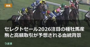 セレクトセール2026注目の種牡馬産駒と高額取引が予想される血統背景