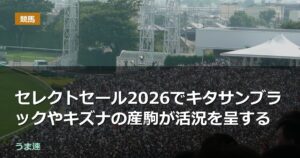セレクトセール2026でキタサンブラックやキズナの産駒が活況を呈する