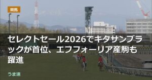 セレクトセール2026でキタサンブラックが首位、エフフォーリア産駒も躍進 セレクトセール2026でキタサンブラックが首位、エフフォーリア産駒も躍進