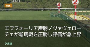 エフフォーリア産駒ノヴァヴェローチェが新馬戦を圧勝し評価が急上昇