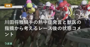 川田将雅騎手の熱中症発言と獣医の指摘から考えるレース後の状態コメント