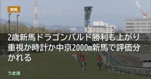 コントレイル産駒 2歳新馬ドラゴンバルド勝利も評価分かれる